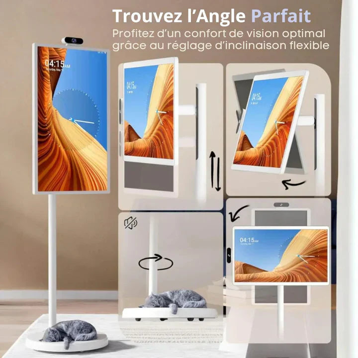 TV portable