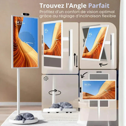 TV portable