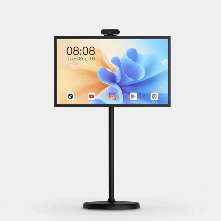 TV portable